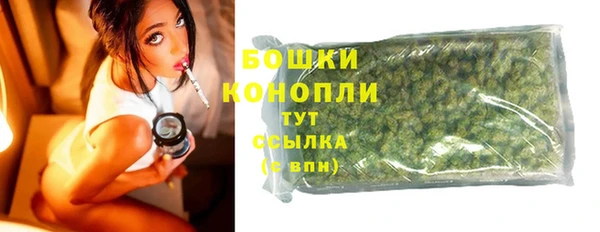 PSILOCYBIN Верхний Тагил