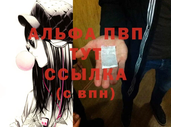 PSILOCYBIN Верхний Тагил