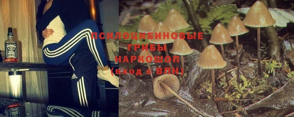 PSILOCYBIN Верхний Тагил