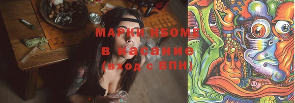 PSILOCYBIN Верхний Тагил