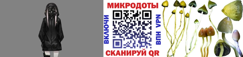 Галлюциногенные грибы MAGIC MUSHROOMS  Златоуст 